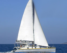 Catamaran Amadeus